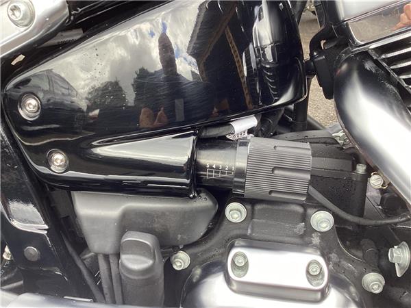 2020 Harley-Davidson Softail