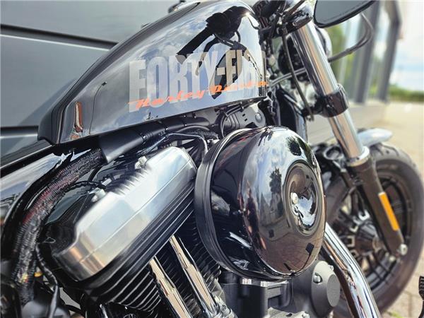 Forty Eight XL1200X Jekill&Hyde Klappenauspuff