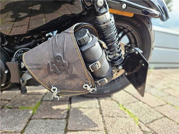 Forty Eight XL1200X Jekill&Hyde Klappenauspuff