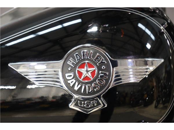 2014 HARLEY-DAVIDSON SOFTAIL FLSTF FAT BOY
