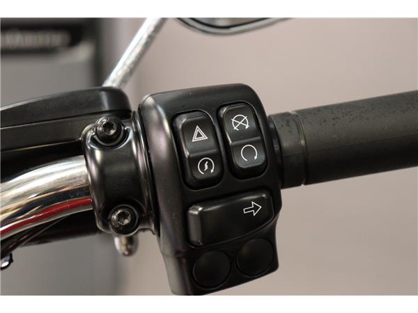 2021 HARLEY-DAVIDSON TOURING FLHR ROAD KING