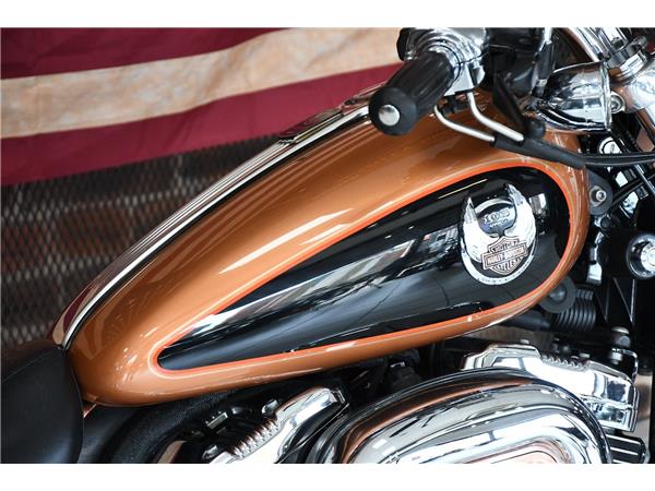 2007 HARLEY-DAVIDSON SPORTSTER XL1200C CUSTOM