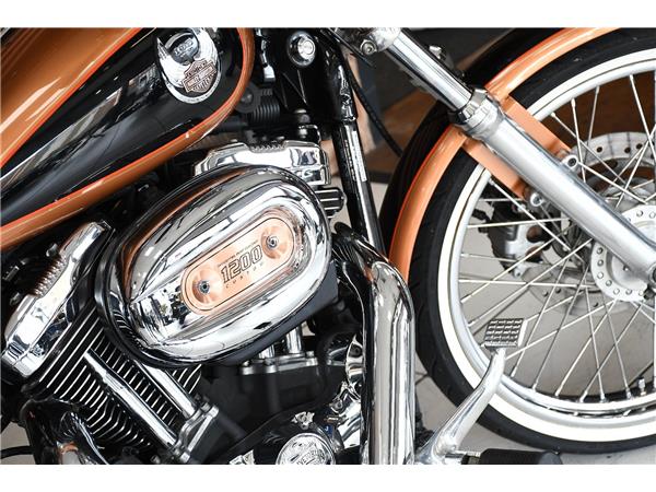 2007 HARLEY-DAVIDSON SPORTSTER XL1200C CUSTOM
