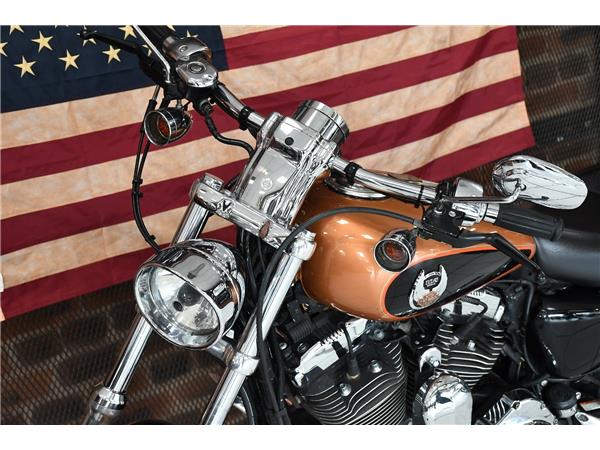 2007 HARLEY-DAVIDSON SPORTSTER XL1200C CUSTOM