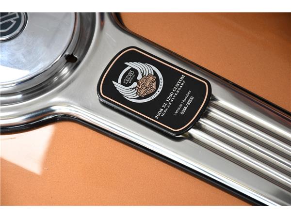 2007 HARLEY-DAVIDSON SPORTSTER XL1200C CUSTOM
