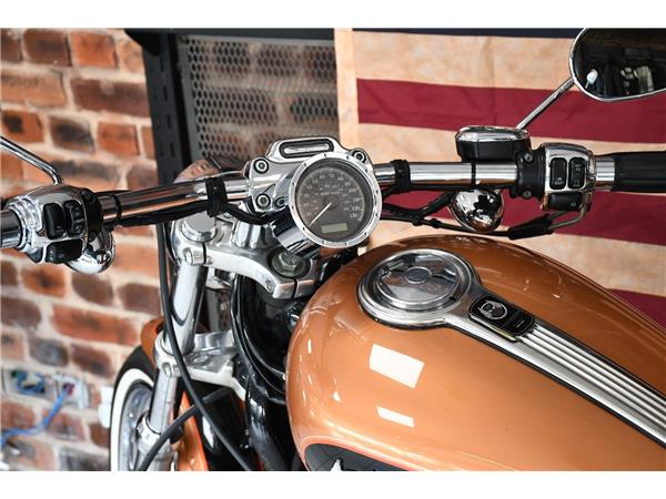 2007 HARLEY-DAVIDSON SPORTSTER XL1200C CUSTOM