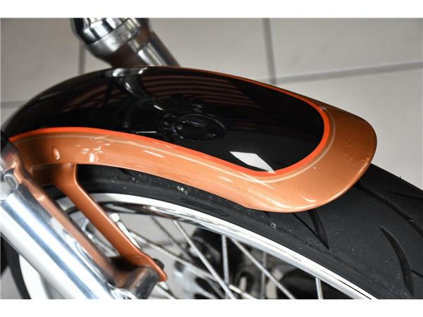 2007 HARLEY-DAVIDSON SPORTSTER XL1200C CUSTOM