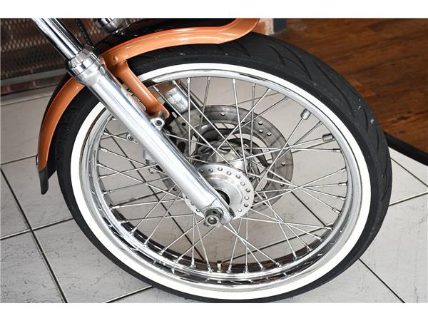 2007 HARLEY-DAVIDSON SPORTSTER XL1200C CUSTOM