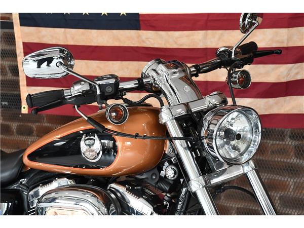 2007 HARLEY-DAVIDSON SPORTSTER XL1200C CUSTOM