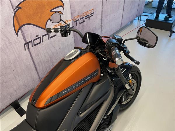2022 harley-davidson ELW LiveWire