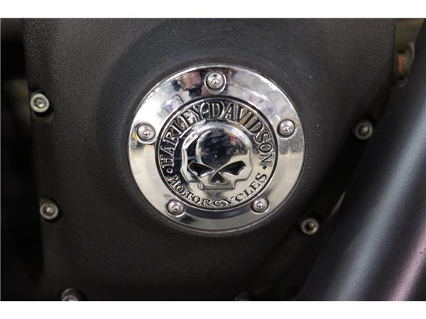 2010 HARLEY-DAVIDSON DYNA FXDF FAT BOB