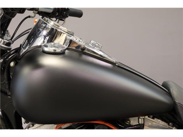 2010 HARLEY-DAVIDSON DYNA FXDF FAT BOB