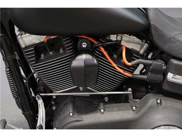 2010 HARLEY-DAVIDSON DYNA FXDF FAT BOB