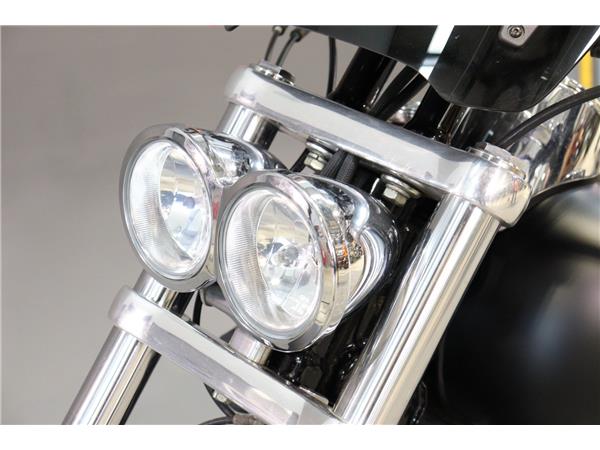 2010 HARLEY-DAVIDSON DYNA FXDF FAT BOB