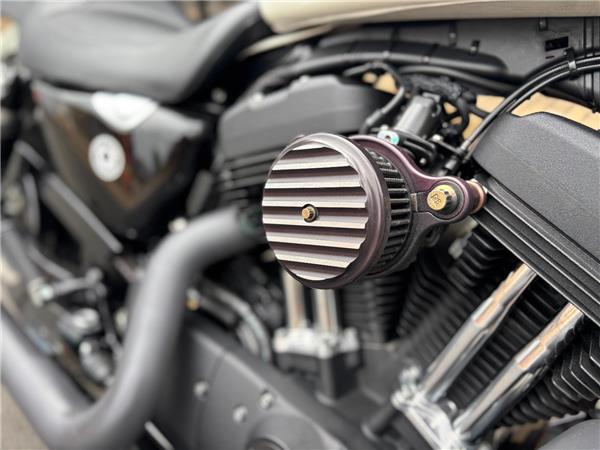 2018 HARLEY-DAVIDSON SPORTSTER XL1200NS IRON 1200