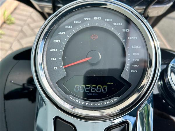 2024 HARLEY-DAVIDSON Softail