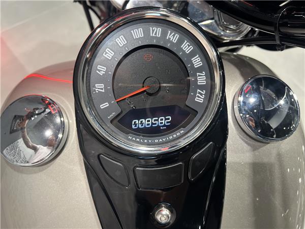 2018 HARLEY-DAVIDSON HERITAGE