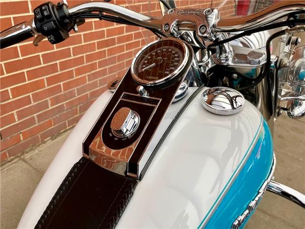 2016 HARLEY-DAVIDSON SOFTAIL FLSTN DELUXE
