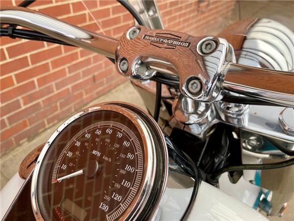 2016 HARLEY-DAVIDSON SOFTAIL FLSTN DELUXE