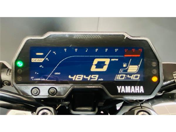 2023 Yamaha MT125 GREY