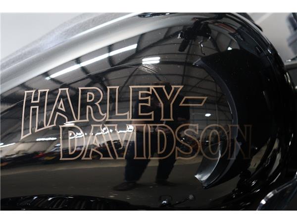 2023 HARLEY-DAVIDSON FXLRST LOWRIDER ST 