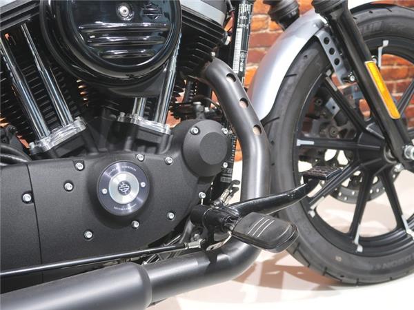 2020 Harley-Davidson XL 883 N Iron Sportster