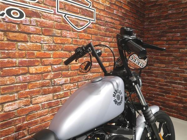 2020 Harley-Davidson XL 883 N Iron Sportster