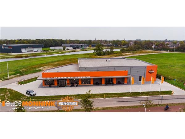 2020 Harley-Davidson XL 883 N Iron Sportster