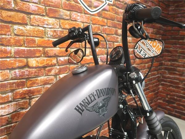 New Harley-Davidson XL 883 N Iron Sportster