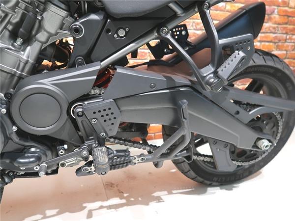 2021 Harley-Davidson RA1250 Pan America