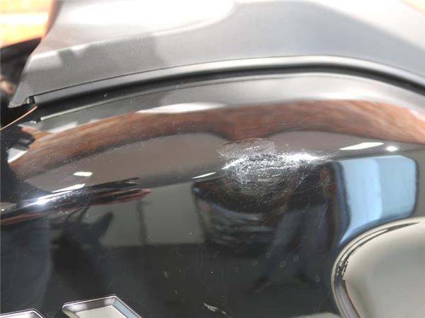 2021 Harley-Davidson RA1250 Pan America