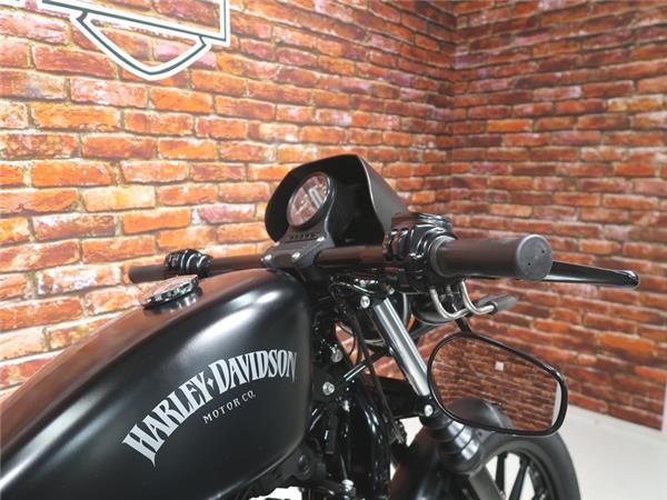 2014 Harley-Davidson XL 883 N Iron Sportster