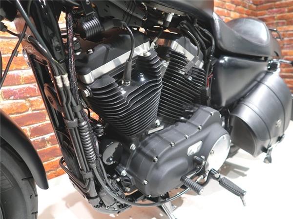 2014 Harley-Davidson XL 883 N Iron Sportster