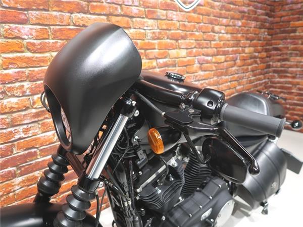 2014 Harley-Davidson XL 883 N Iron Sportster