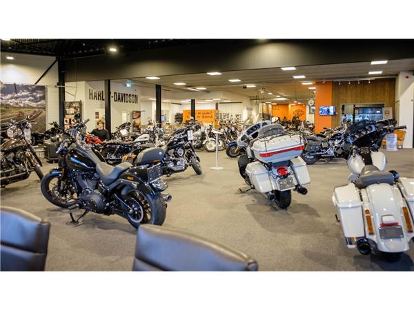 2020 Harley-Davidson ELW Live Wire