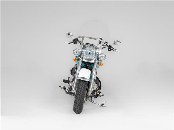 2016 Harley-Davidson FLSTN103 Two-Tone