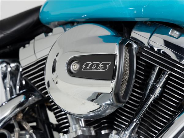 2016 Harley-Davidson FLSTN103 Two-Tone