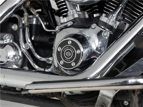 2016 Harley-Davidson FLSTN103 Two-Tone