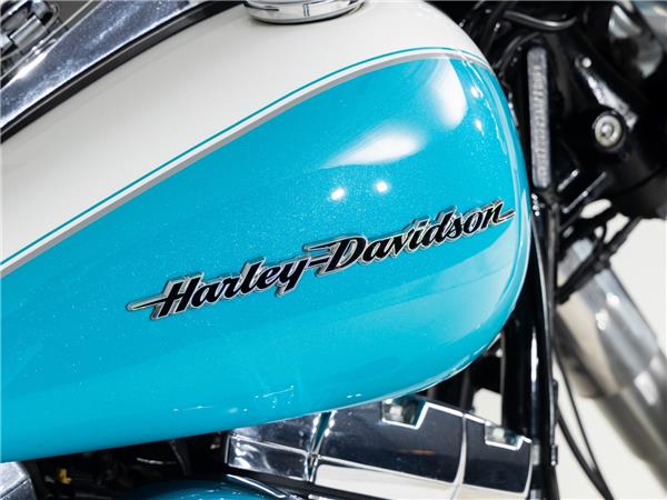 2016 Harley-Davidson FLSTN103 Two-Tone