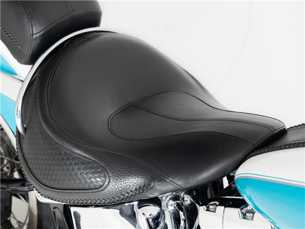 2016 Harley-Davidson FLSTN103 Two-Tone