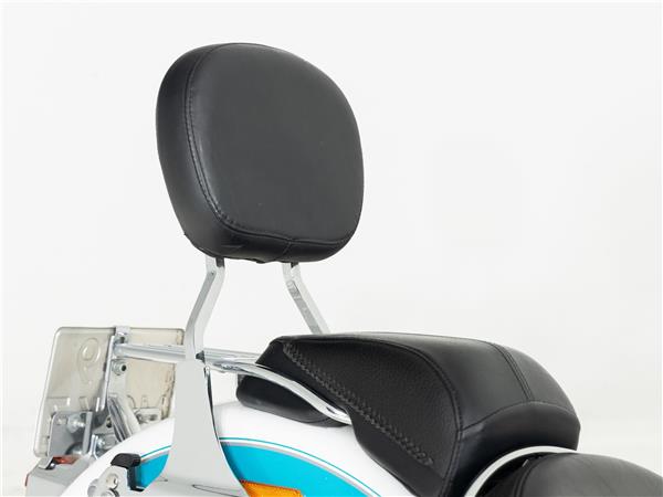 2016 Harley-Davidson FLSTN103 Two-Tone