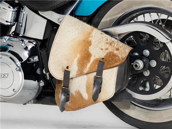 2016 Harley-Davidson FLSTN103 Two-Tone