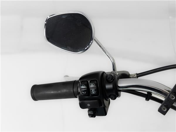 2016 Harley-Davidson FLSTN103 Two-Tone