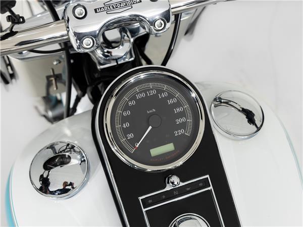 2016 Harley-Davidson FLSTN103 Two-Tone