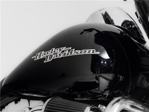 2015 Harley-Davidson FLHXS Street Glide Special Solid