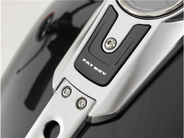 2023 Harley-Davidson FLFB Fat Boy Softail