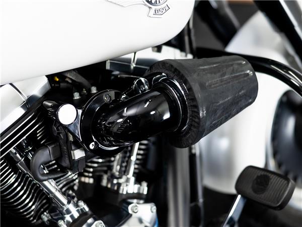 2017 Harley-Davidson FAT BOY LO/SPECIAL