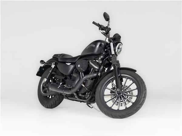 2013 Harley-Davidson 883 Iron
