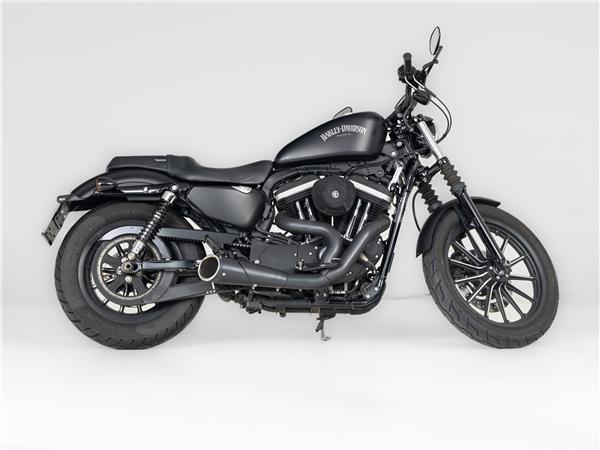 2013 Harley-Davidson 883 Iron