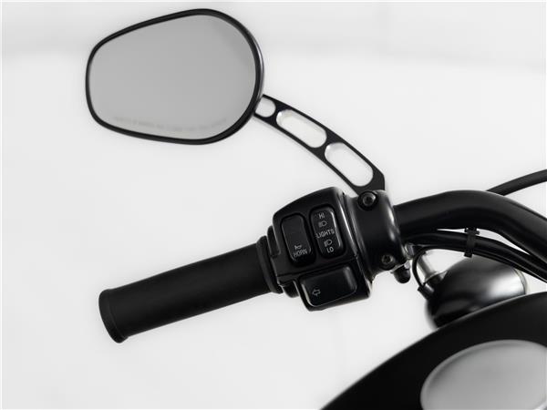 2013 Harley-Davidson 883 Iron